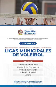 Ligas Municipales de Voleibol