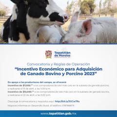Convocatoria y Reglas de Operación “Incentivo Económico para Adquisición de Ganado Bovino y Porcino 2023”