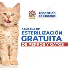 Tendrá Tepatitlán jornada intensa de esterilización de mascotas