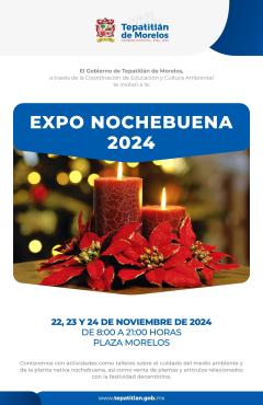 Ya viene la Expo Nochebuena, la flor que embellece la Navidad