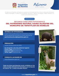 Convocatoria: Segundo Concurso Fotográfico de Patrimonio Natural: Fauna Silvestre de Tepatitlán de Morelos