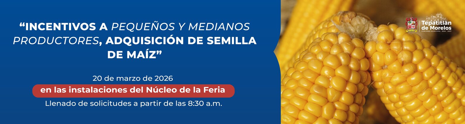 Plan Municipal de Desarrollo y Gobernanza